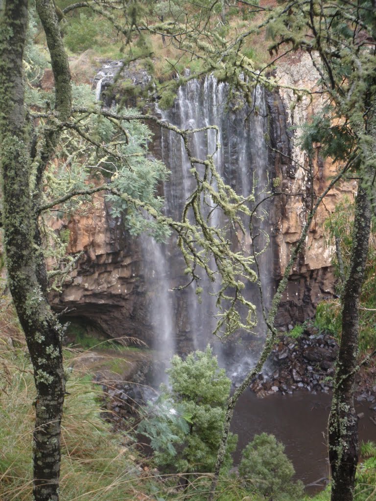 Trentham Falls by Peter Ermel