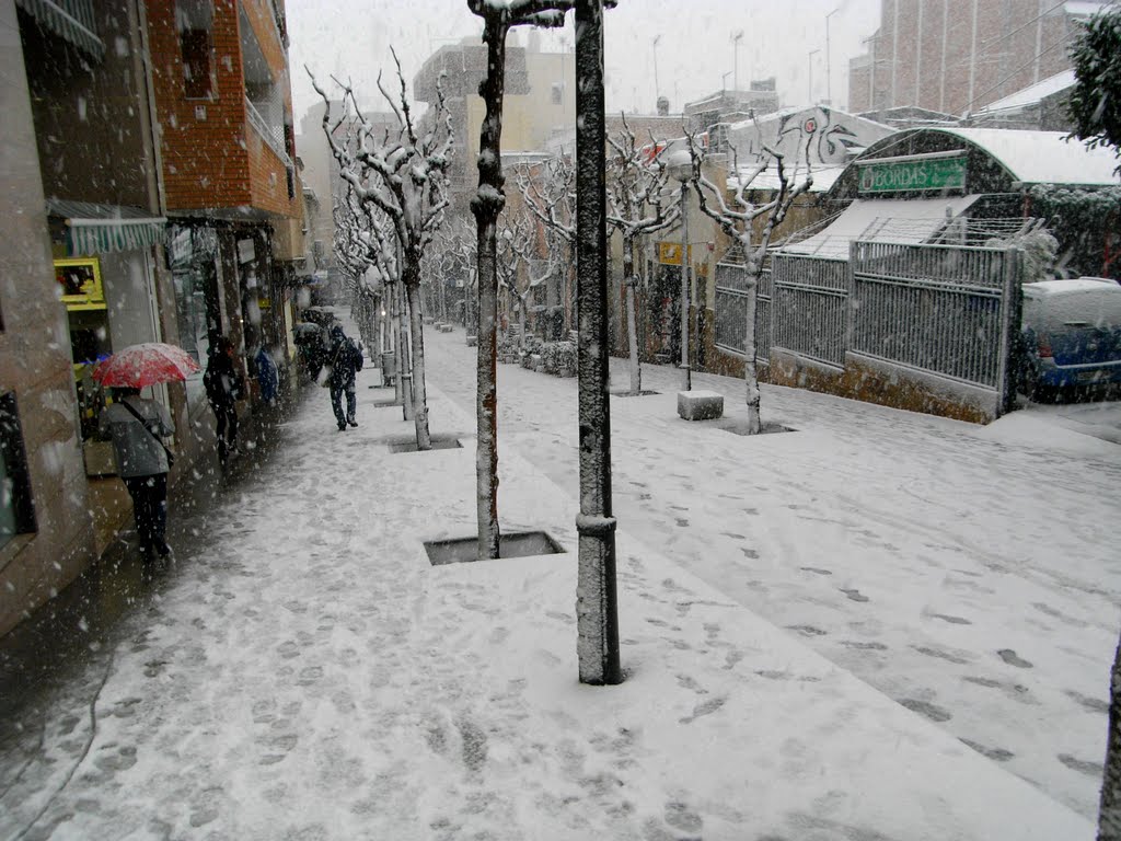 Gran nevada: Avinguda del Metro - Març 2010 by joancunit