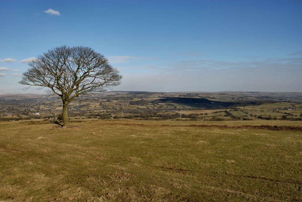 View from Top Road by David Humphreys