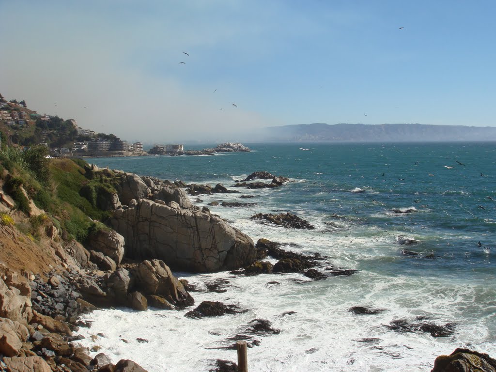 Reñaca, Viña del Mar by hugo aspromonte