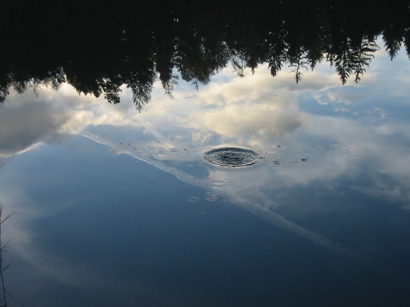 Riflessi nel Lago di Santa Colomba by Monica Dallepiatte