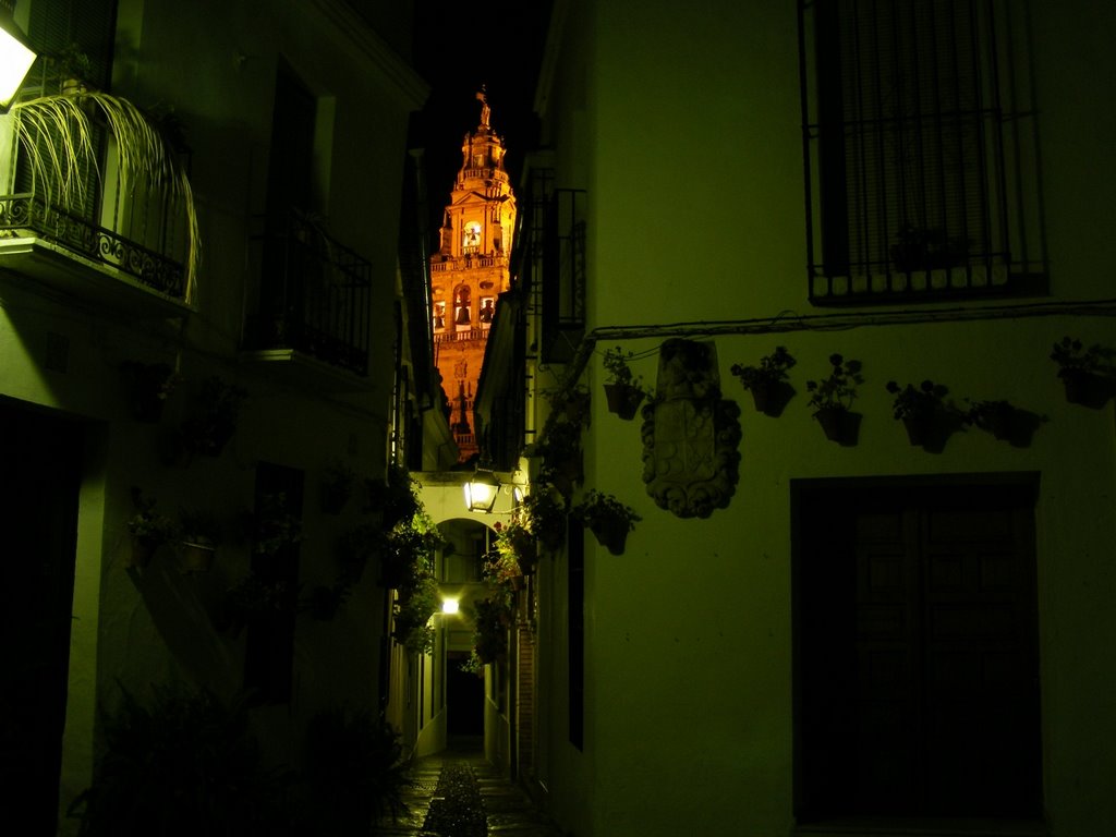 Calleja de las Flores by Jose Luis Ogea