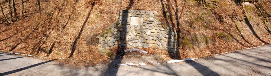 Bažantí studánka by Petrzlesa