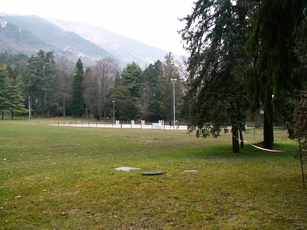 Maniago - cavallo pronto per il salto agli ostacoli - by aldo.chittaro