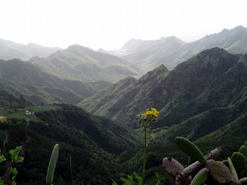 ESPAÑA Isla de Tenerife, Macizo de Anaga by Talavan