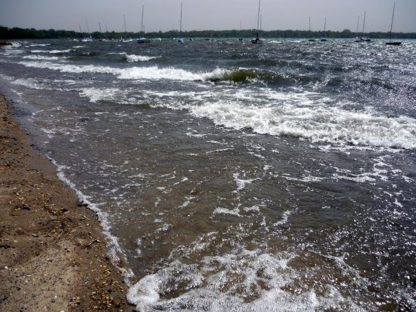 Sailing Lake Calhoun by Werner Meybaum