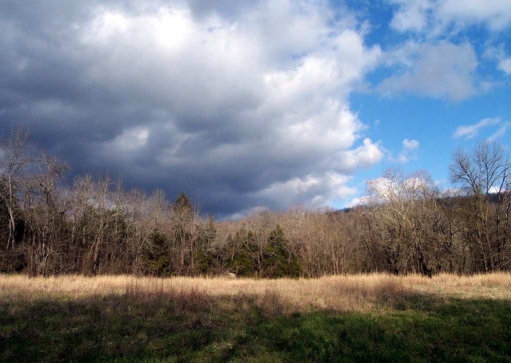 Mt Hersey Campground by jeremy_allen