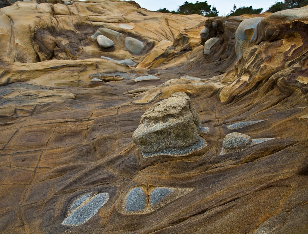 Natural Sculptures by PASO