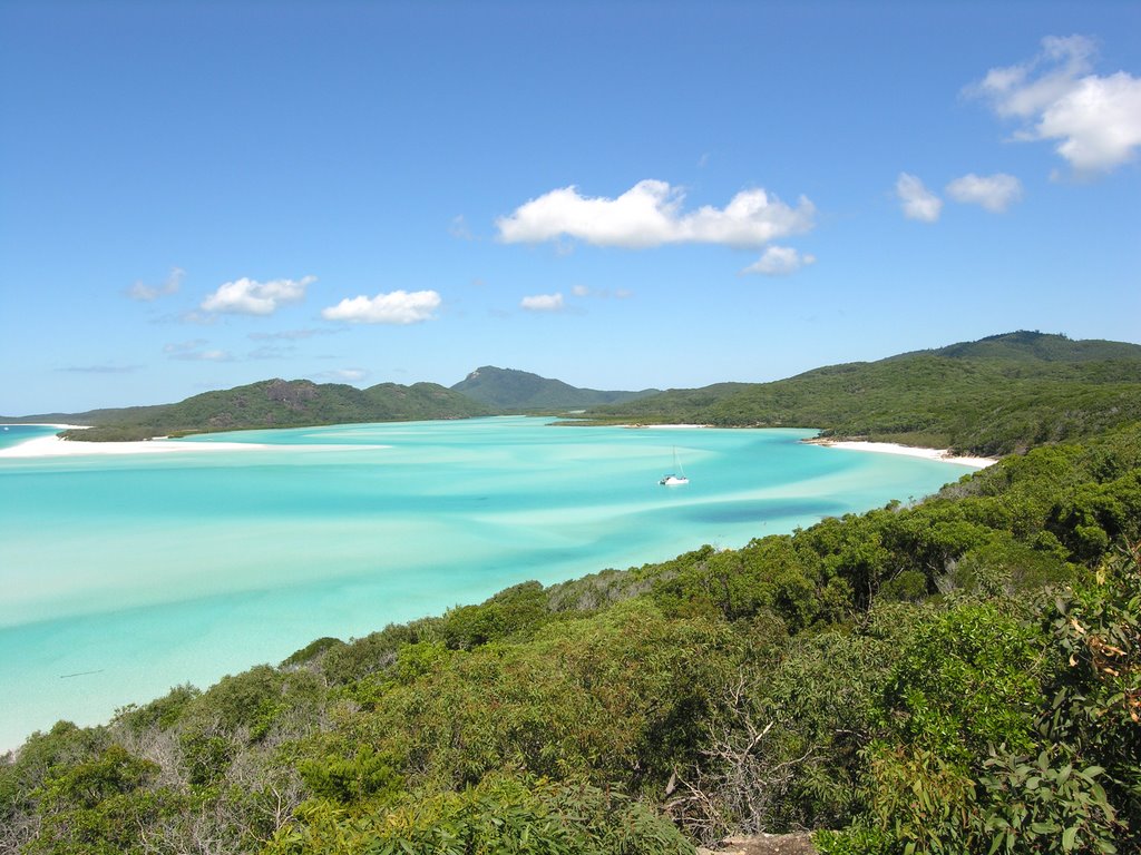 WHITSUNDAY by Wood Chipper