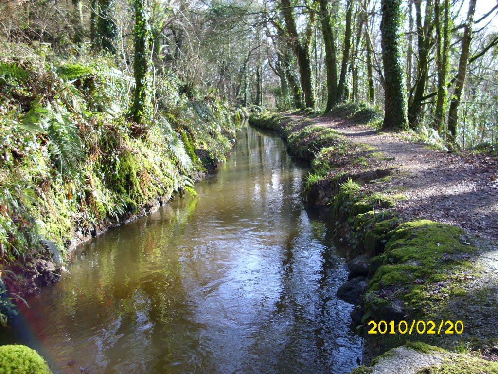 Luxulyan Valley by Andrew(ollie)Johnson