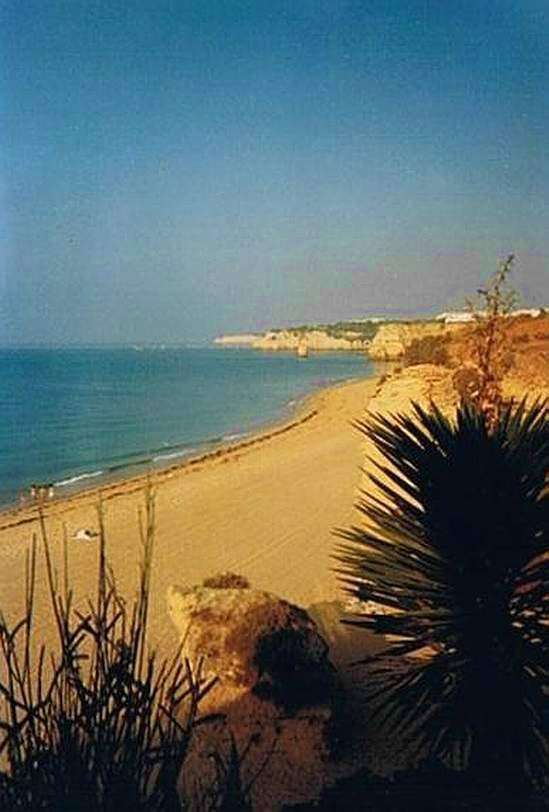 Beach early in the morning by Daniela Brocca