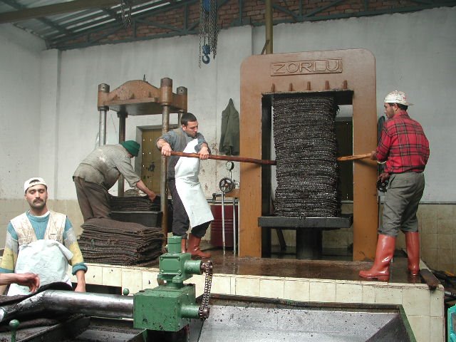 Olive oil pressing/Tire by tayfuncicek