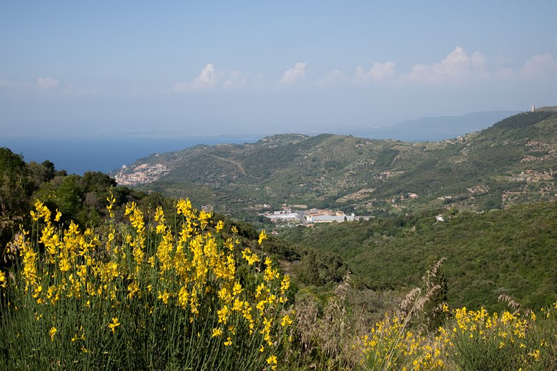 Monte Argentario by Franz Haberhauer