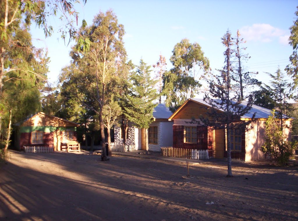 Cabañas del cordon forestal by REgonce