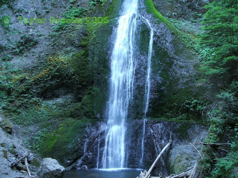 Marymere Falls by Tayler Brooks