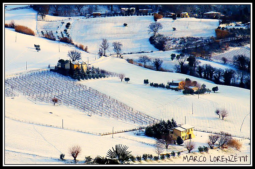 SERRA SAN QUIRICO (AN) - CONTRADA FORCHIUSA by Marco Lorenzetti