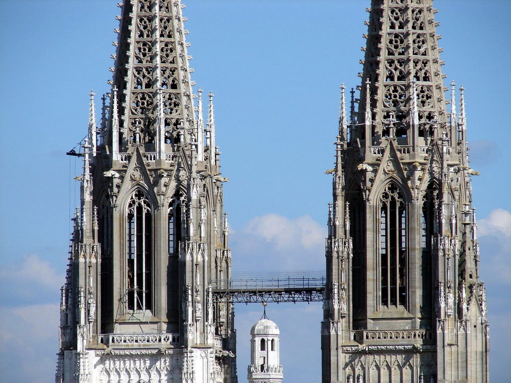 Regensburger Dom by harald helmlechner