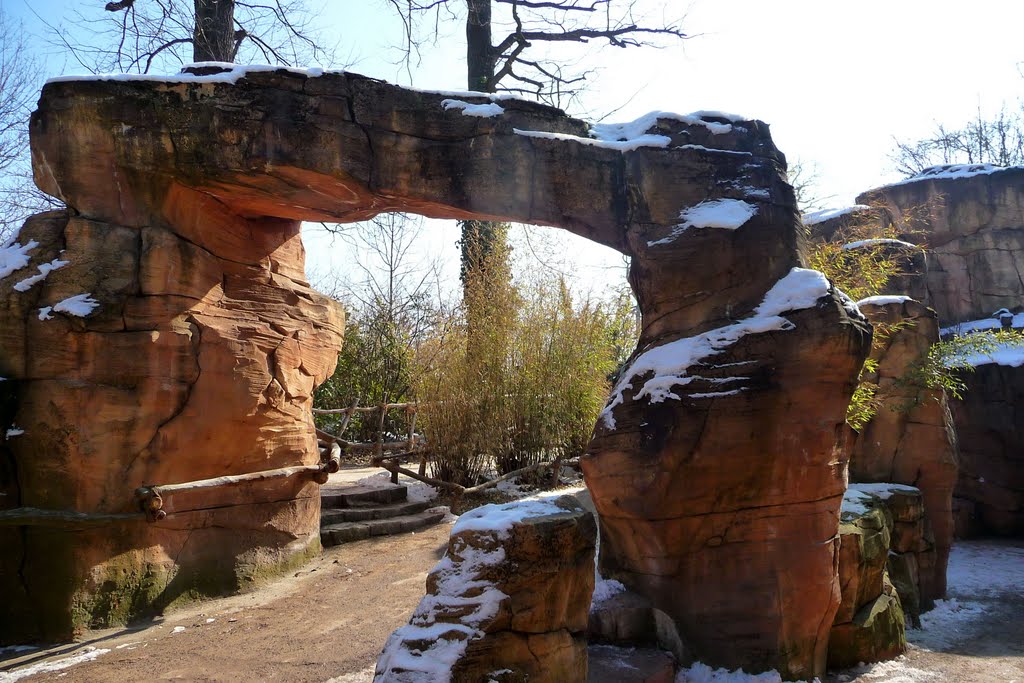 Winterlicher hannoverscher Zoo by Burkhard Foltz