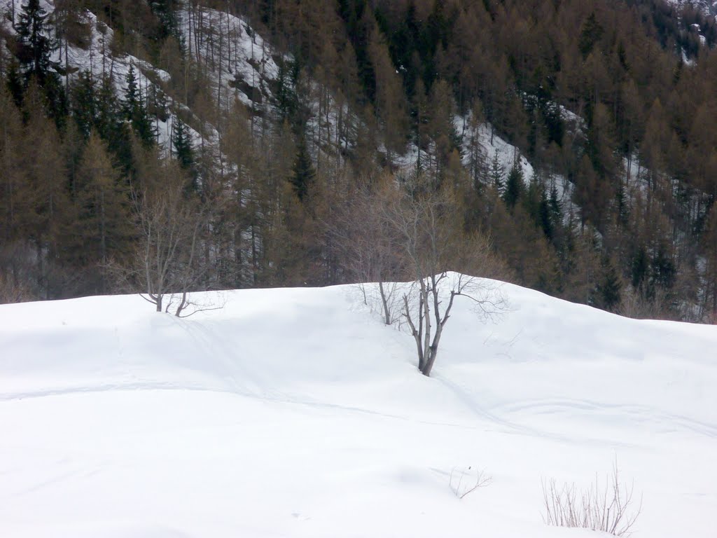 Valtournenche by sergio alessi