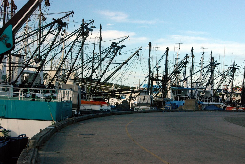 Port Lincoln fishing fleet by Flett