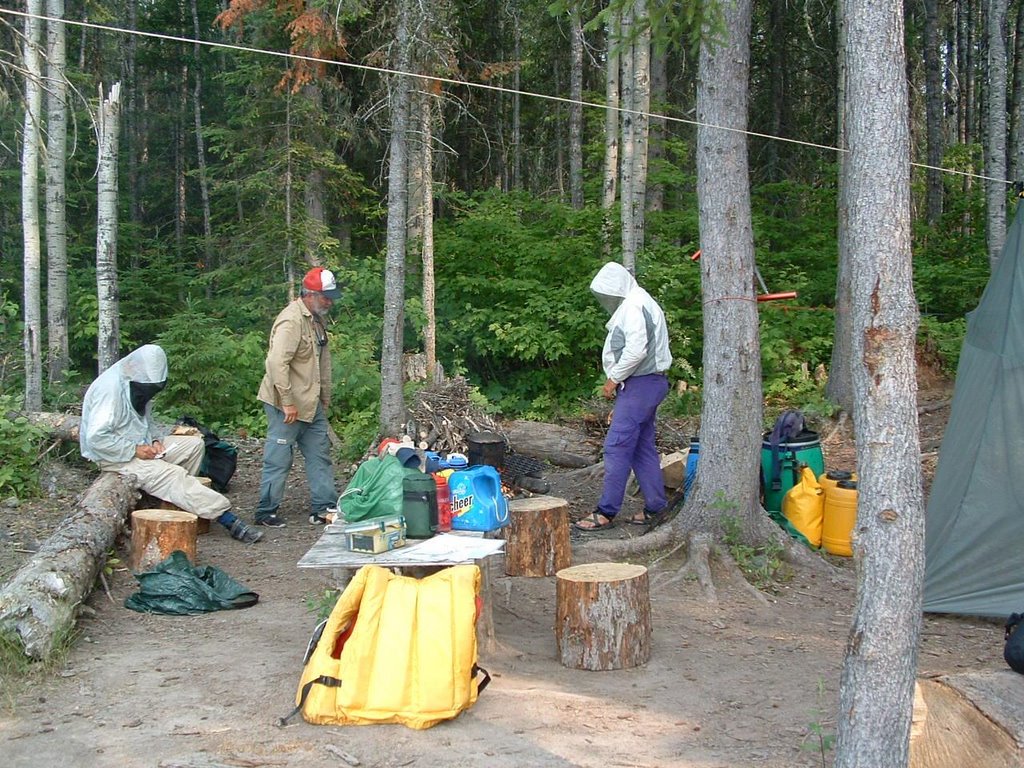 Campsite on Portage Island by Lester Kovac