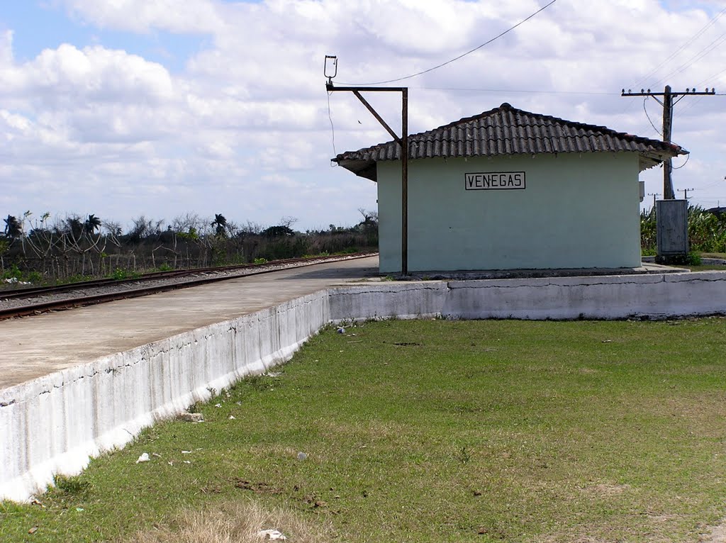 Estacion del ferrocarril Venegas by Mery Alverez