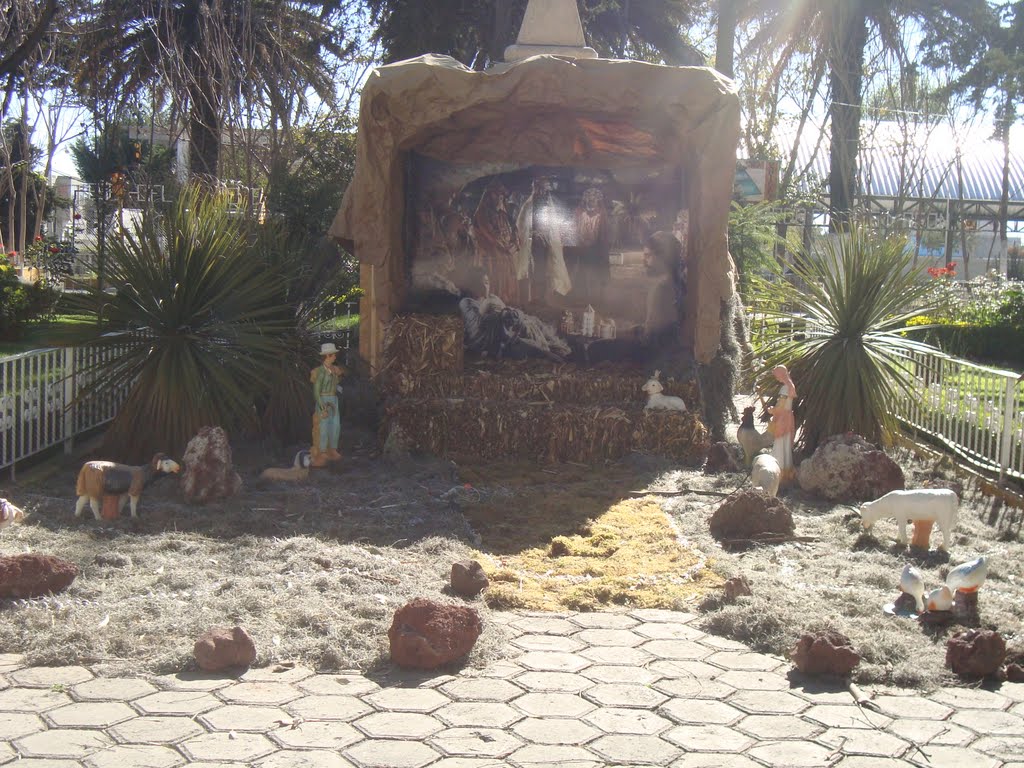 Nacimiento by beto