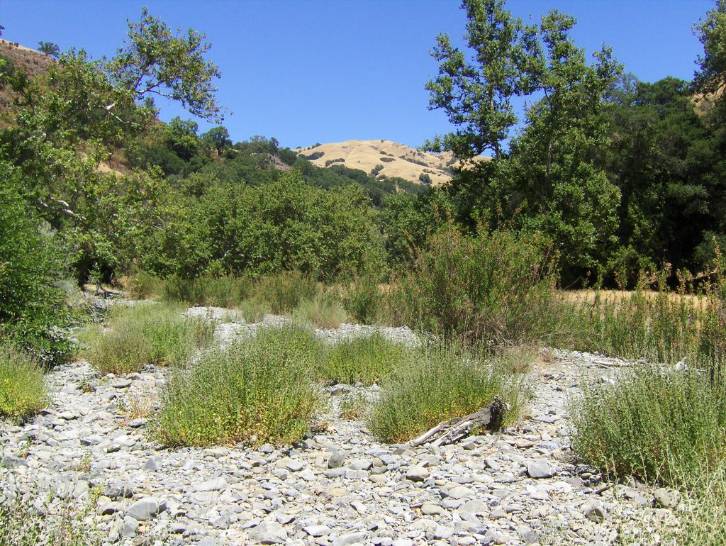 Sunol Regional Wilderness, Little Yosemite by grey3000