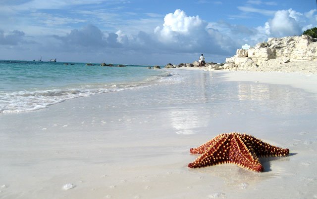 Leeward Beach with brilliant clear water by edebacsi