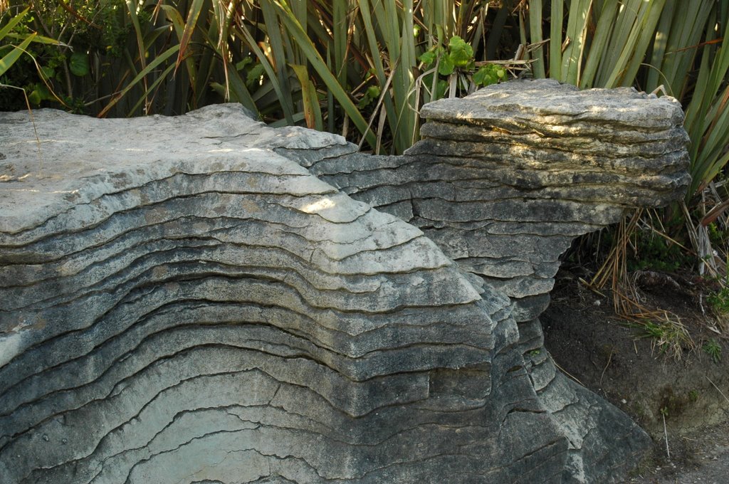 Paparoa NP Pancake Rocks by miro59