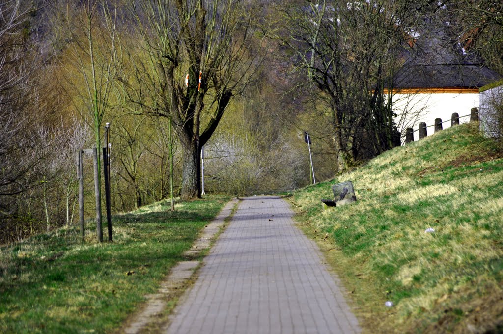 Moselpromenade Trier by Heinz Peierl