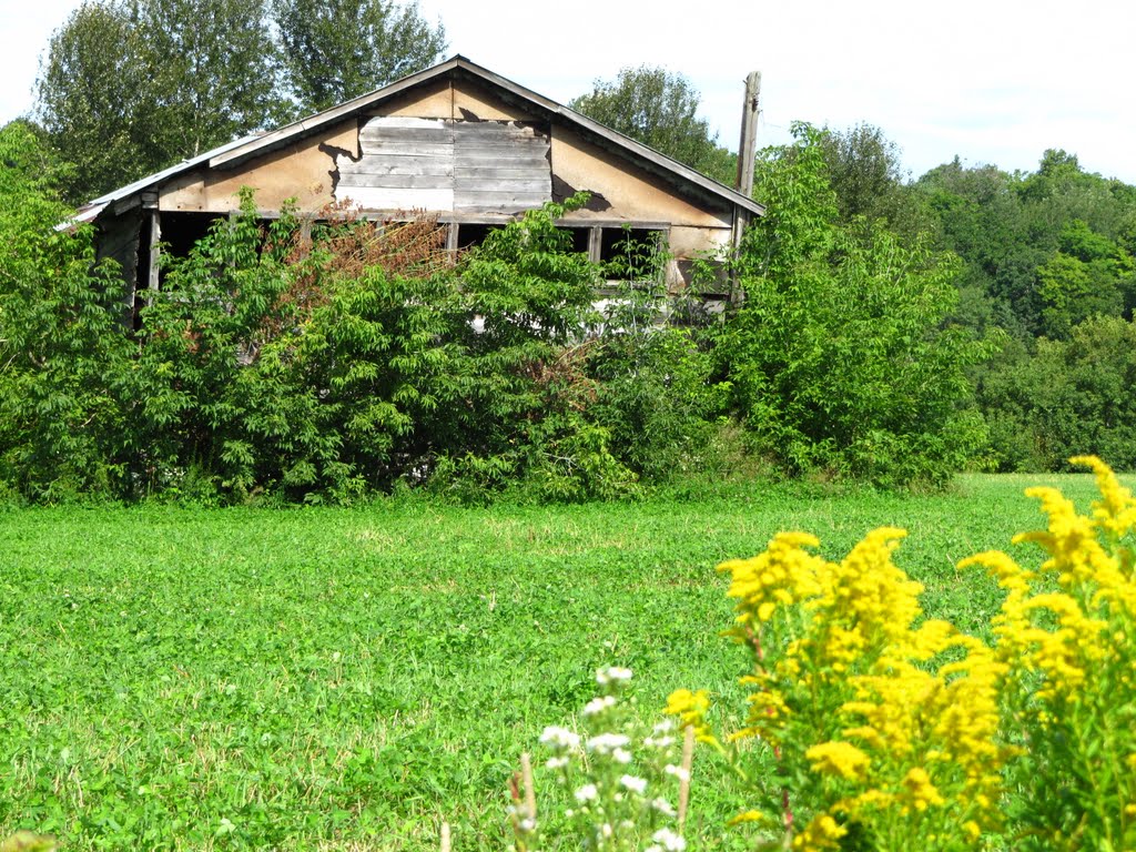 Sur la route de Kiamika; c'était ça la cabane au Canada? by Claude Daudenarde