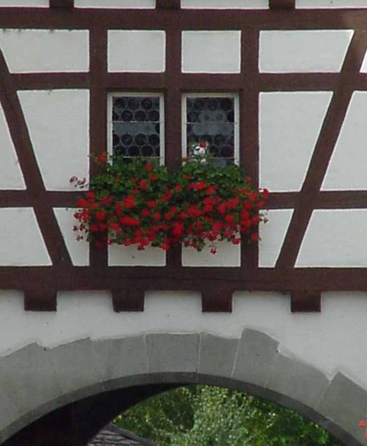 Stein am Rhein - old houses http://www.steinamrhein.ch/xml_1/internet/de/intro.cfm by 工藤マイケル