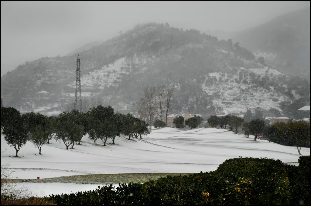 Green, ma bianco. by ©Bruno Tortarolo