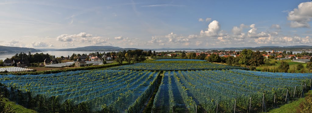 Reichenau - Panorama ca. 100° by © Sonny☼PanoRam