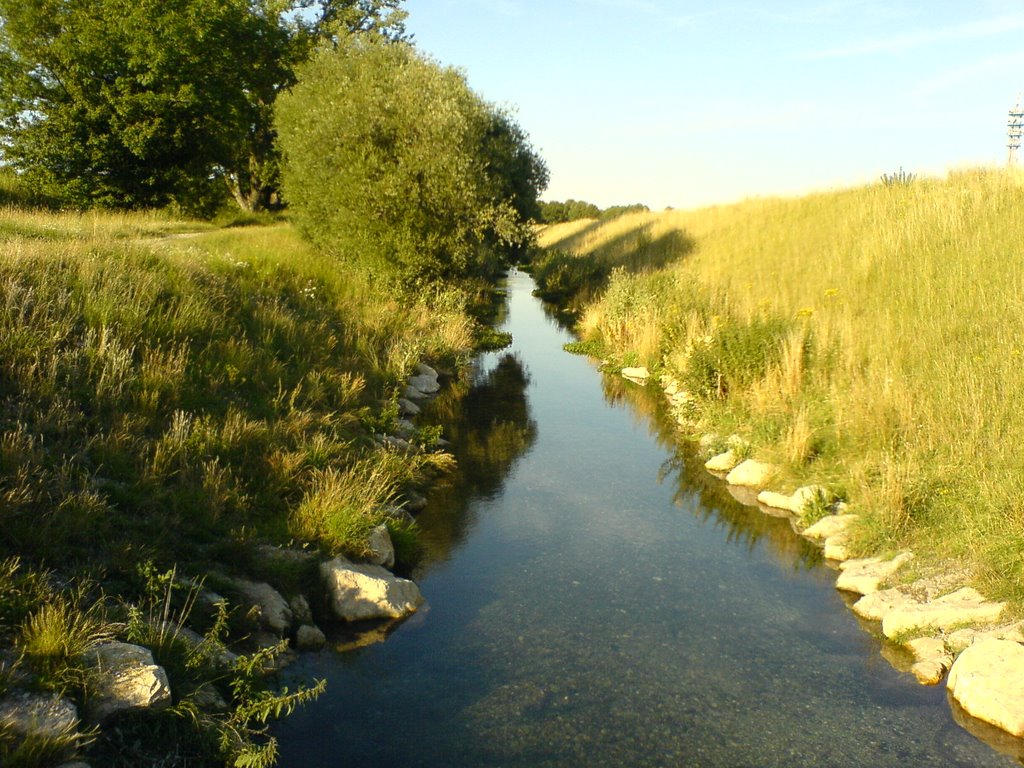 Hachinger Bach by Mittler Werner