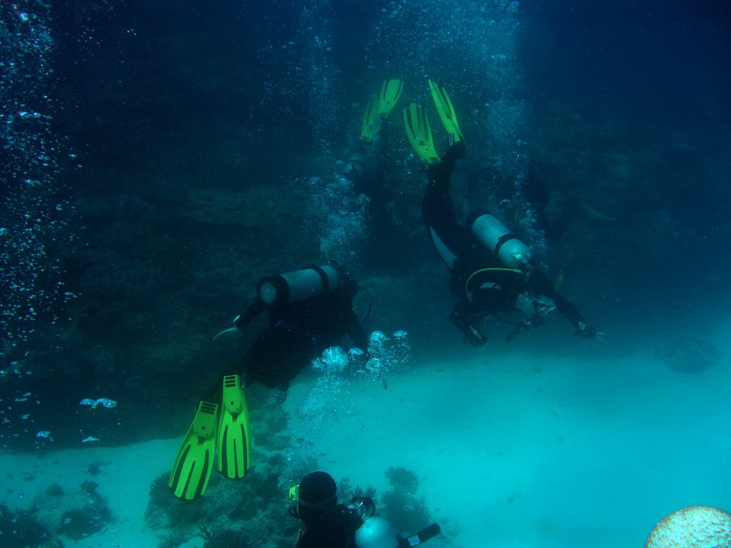 Diving in the coral reef by ebrunet