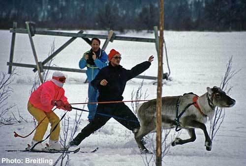 MUONIO, "Muoniojärvi": Porokilpailut / Rentierrennen / Reindeer race • 04-1987 by hartmut.breitling