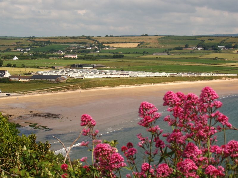 Mb - 2- View on Ardmore Beach by ♫ Swissmay