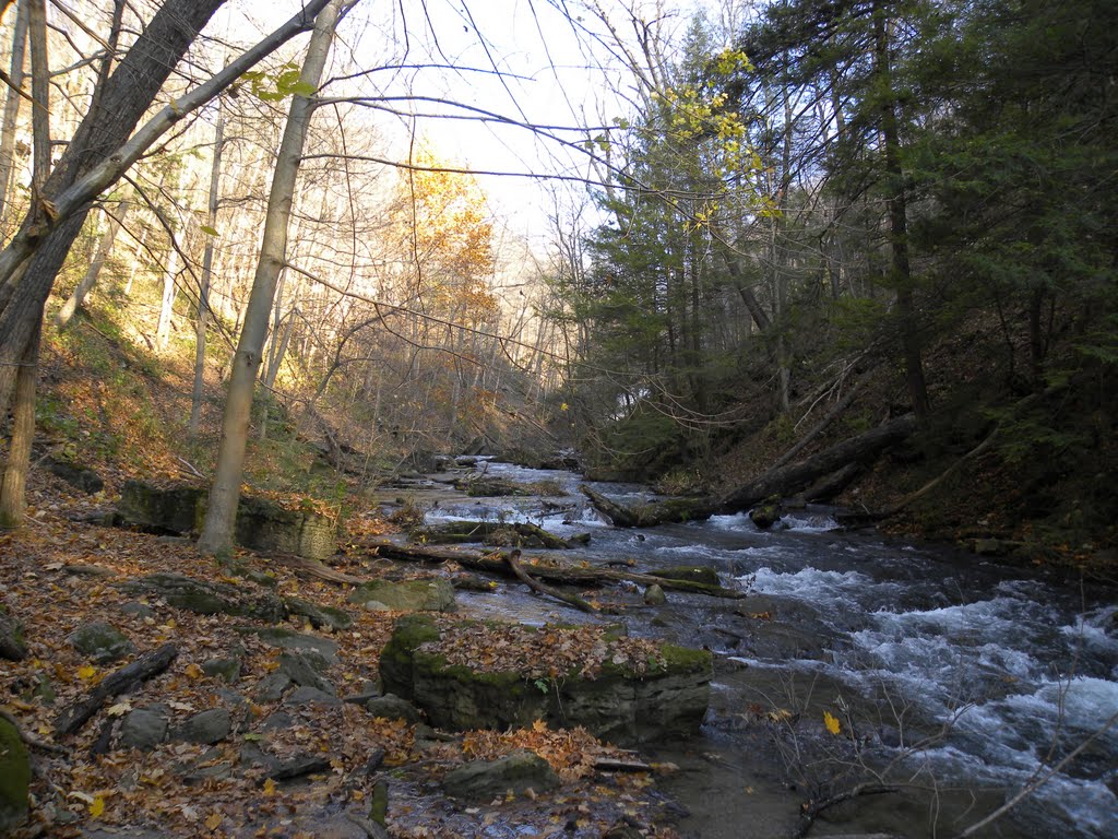 DeCew falls by Olga SMile