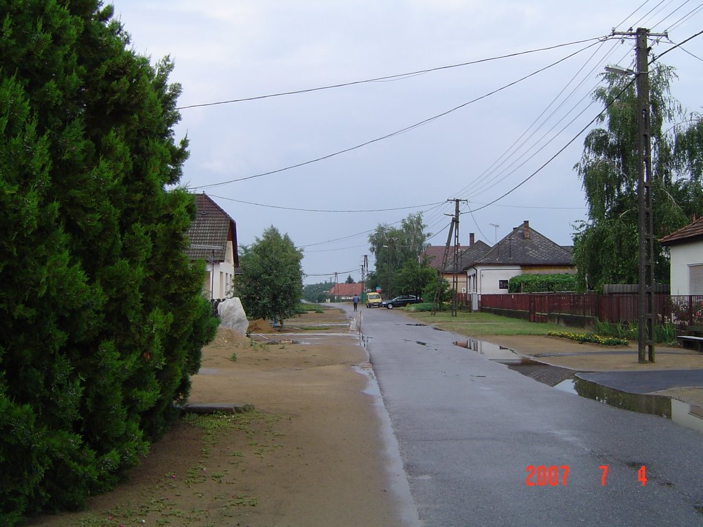 Nagyvarsány-Szabadságtanya, Hungary by SimonTamás