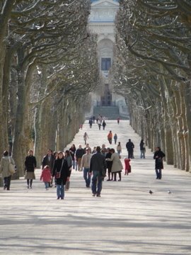 Promenade hivernale dans le Jardin des Plantes (1) by zagreus