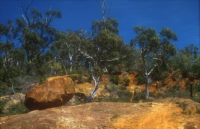 Iron Boulder near Hovea by BolekJ