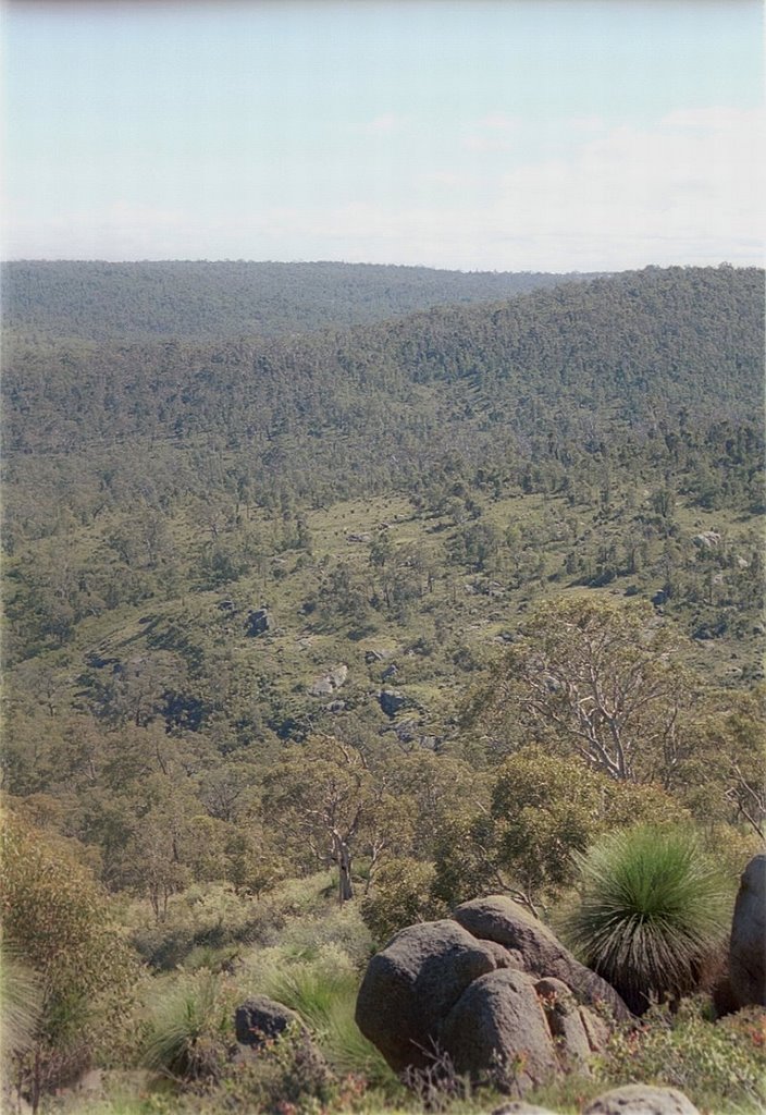 John Forrest NP by BolekJ