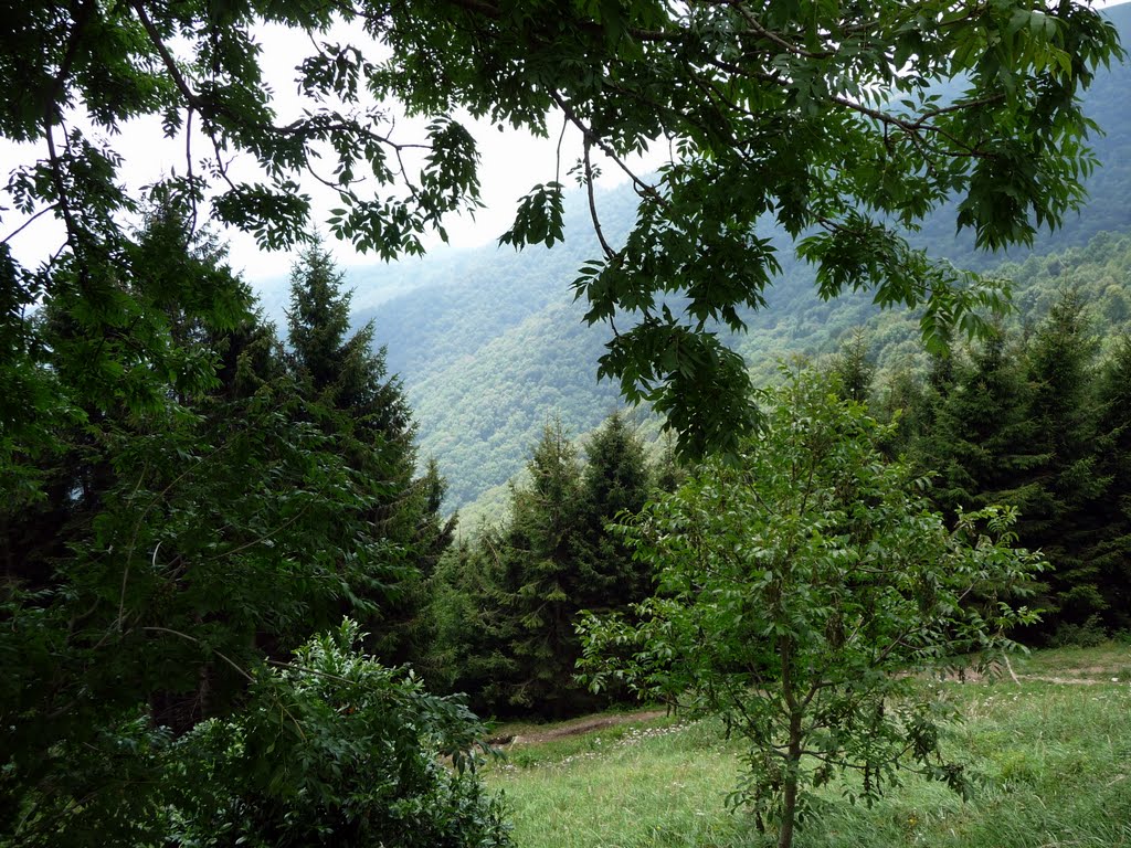 Il paesaggio dalla Capanna Mara (CO) by Ilda Casati