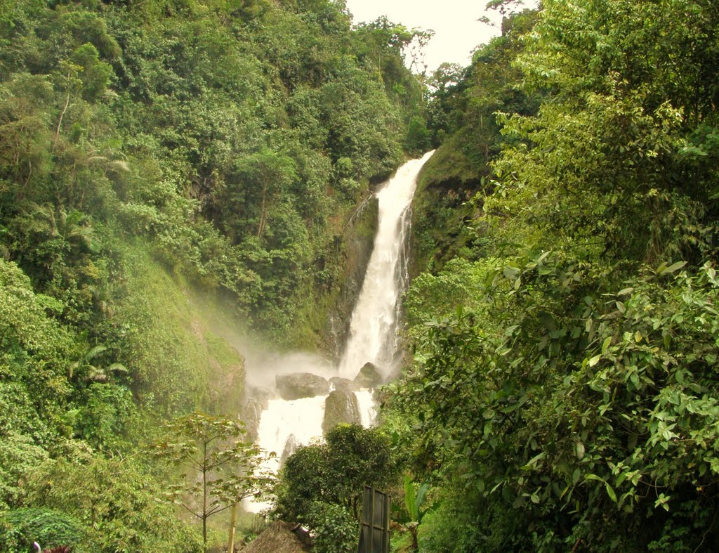 Chorrera del Napa, Santo Domingo de los Tsachilas by Carlos Echanique