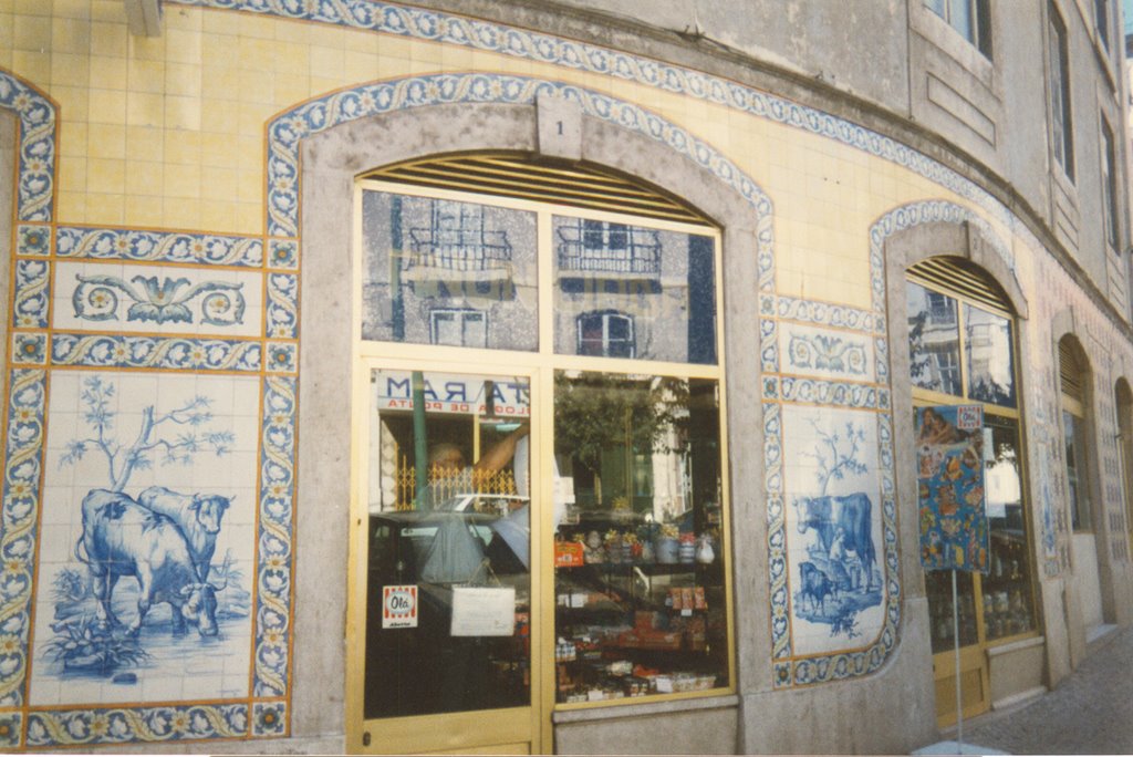 Azulejos - Lisboa by cornixelis