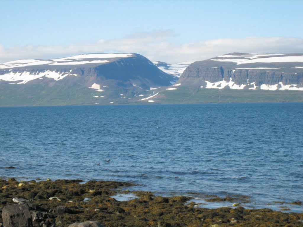 Hornstrandir, Iceland by wdurette