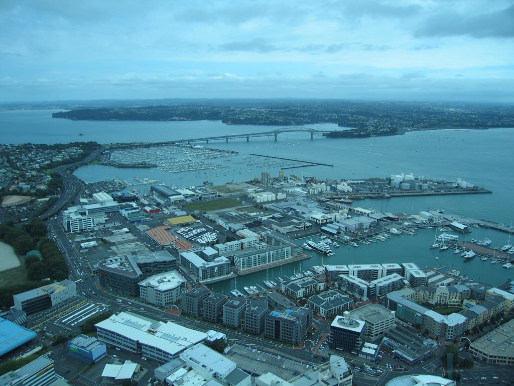 Auckland Bridge by Philip Weaver