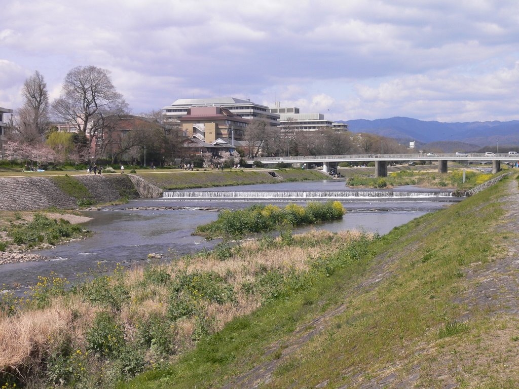 Kamo river: april 2007 by Messire